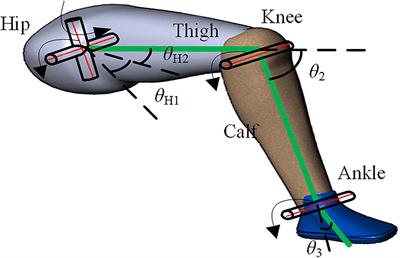 Measurement Method of Human Lower Limb Joint Range of Motion Through Human-Machine Interaction Based on Machine Vision